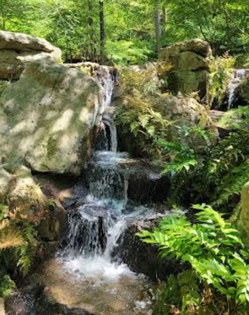 Nature Without The Price Tag