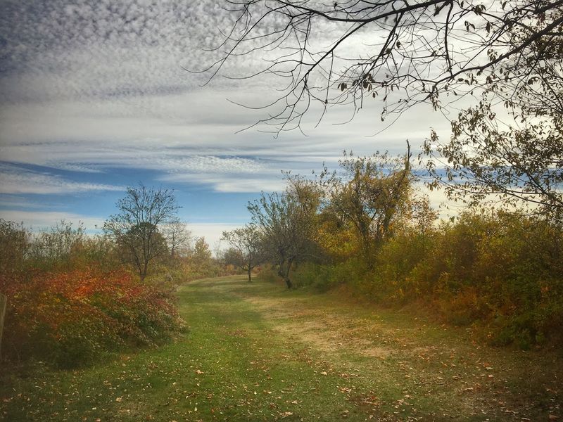 Fall Visits Offer Something Truly Special