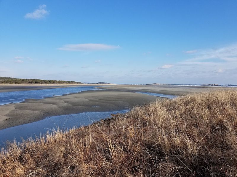 Low Tide Is The Sweet Spot