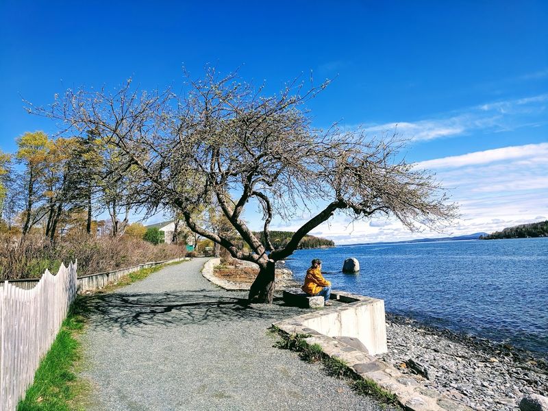 A Peaceful Alternative To Downtown Crowds