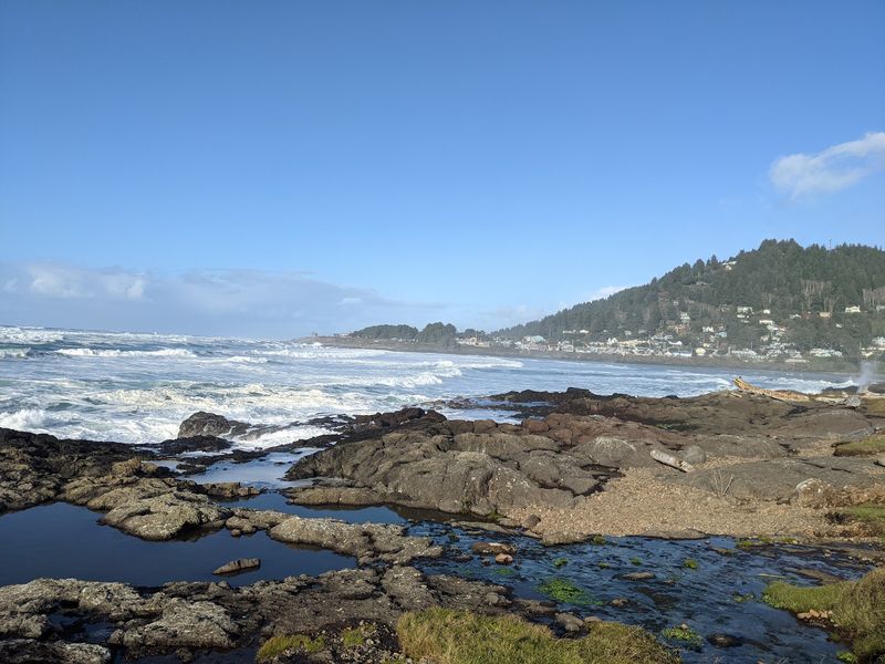 Low Tide Turns The Shoreline Into A Treasure Hunt Low Tide Turns The Shoreline Into A Treasure Hunt