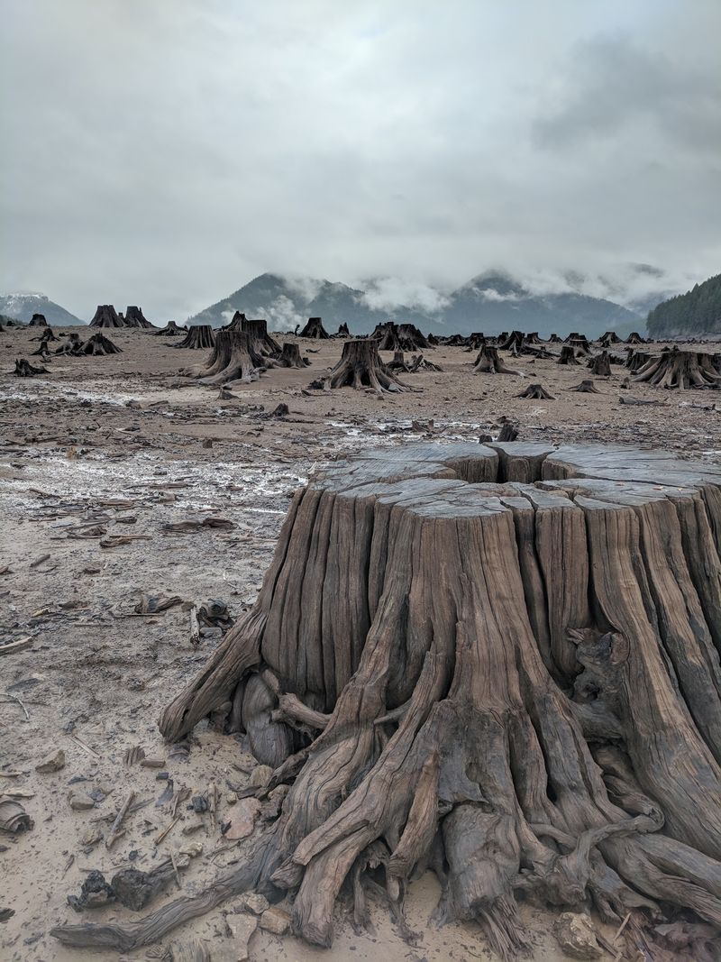 Low Water Turns The Lakebed Into A History Exhibit