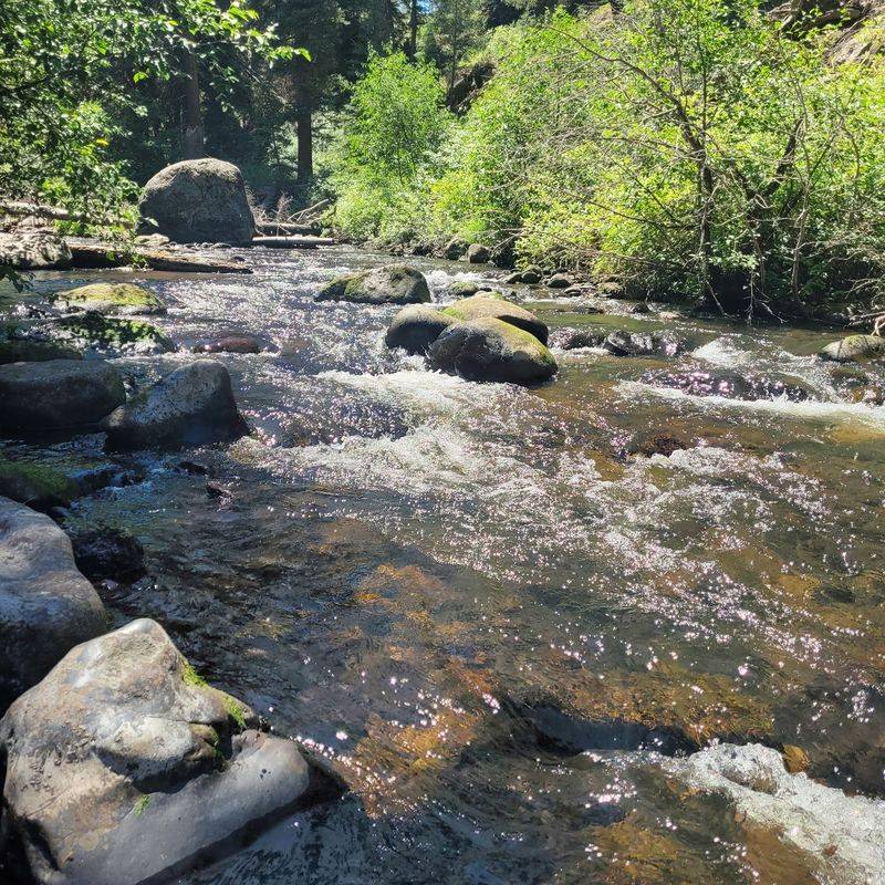 Lower Beaver Creek Campground - Near South Fork