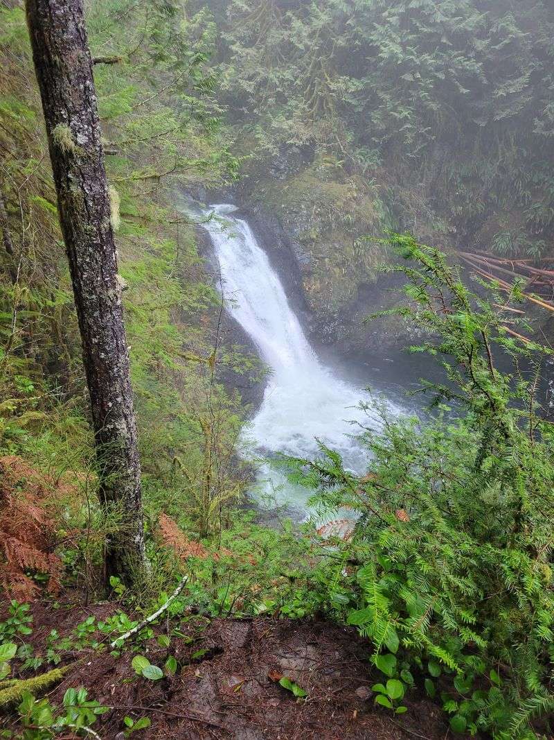 Lower Falls, The Easy Win For Little Legs Lower Falls, The Easy Win For Little Legs