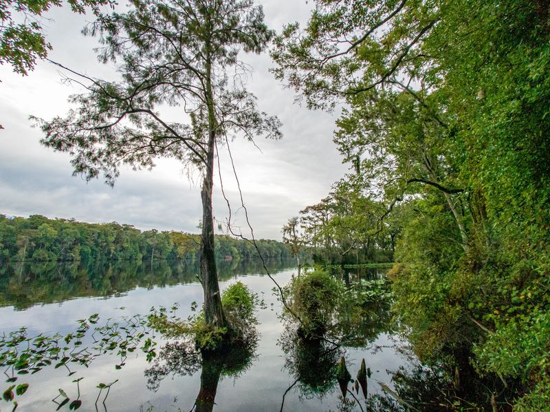 Lower Suwannee National Wildlife Refuge, Chiefland