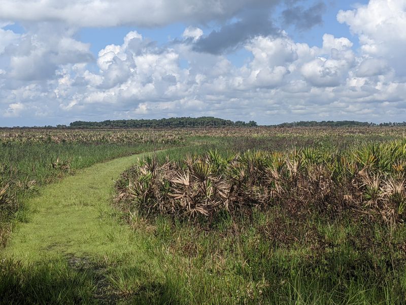 Kissimmee Prairie Preserve State Park — Okeechobee Area