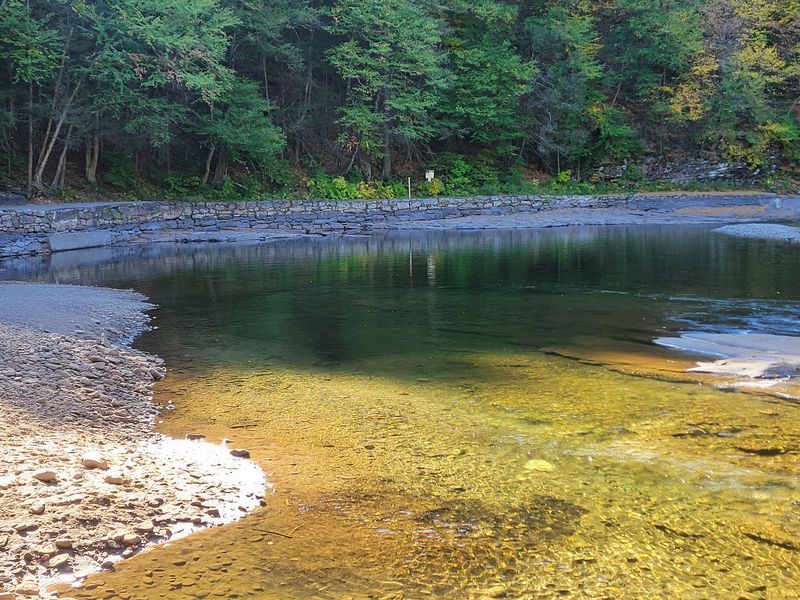Loyalsock Creek Gives You Crystal Clear Water