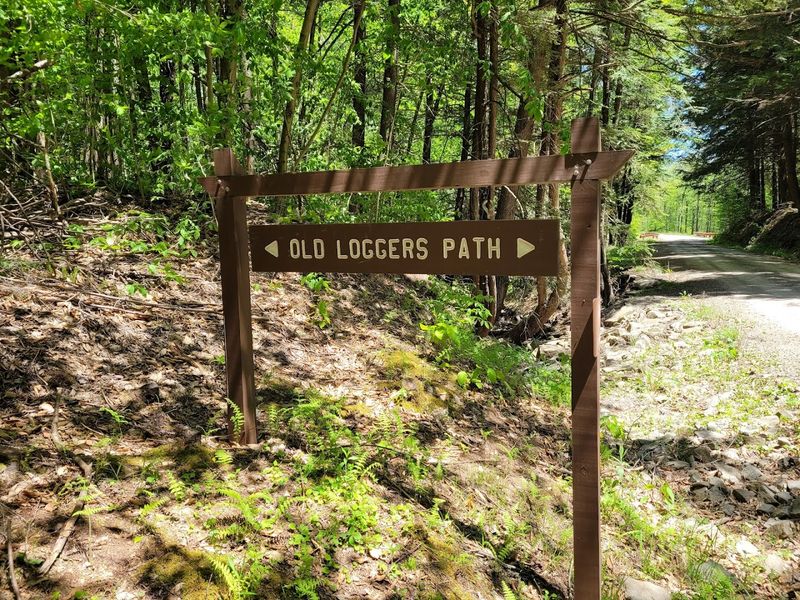 Old Logger's Path, Tiadaghton State Forest, Pennsylvania