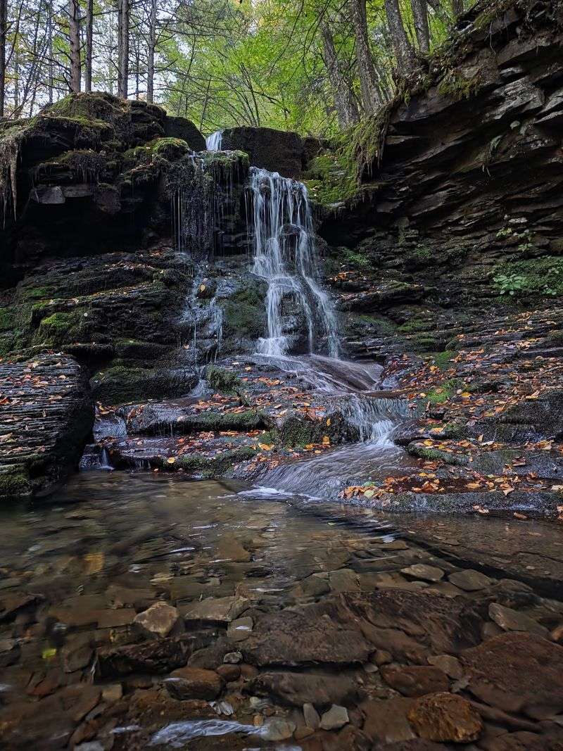Loyalsock Trail, Loyalsock State Forest