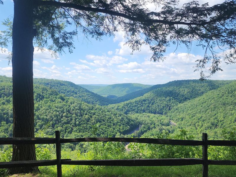 Loyalsock Trailhead, Williamsport, PA