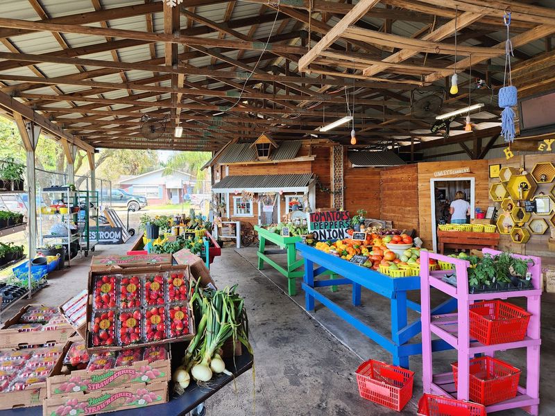 Lumley's Farm and Market - 4810 James L. Redman Parkway, Plant City
