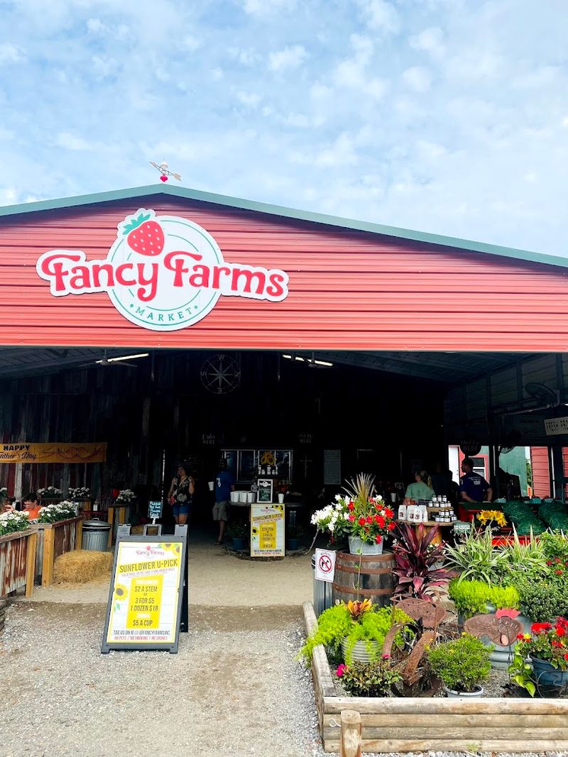 Fancy Farms Market, Lakeland