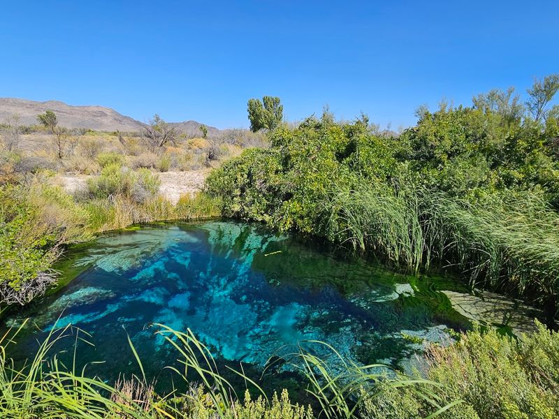 Ash Meadows Boardwalk