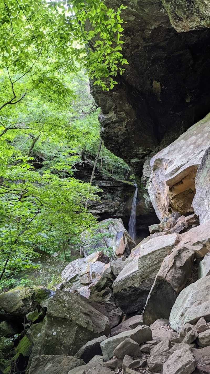Steep Descent Leading Into A Quiet Hollow