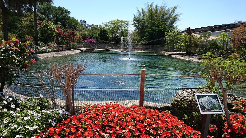 Lush Tropical Gardens Surround Every Path