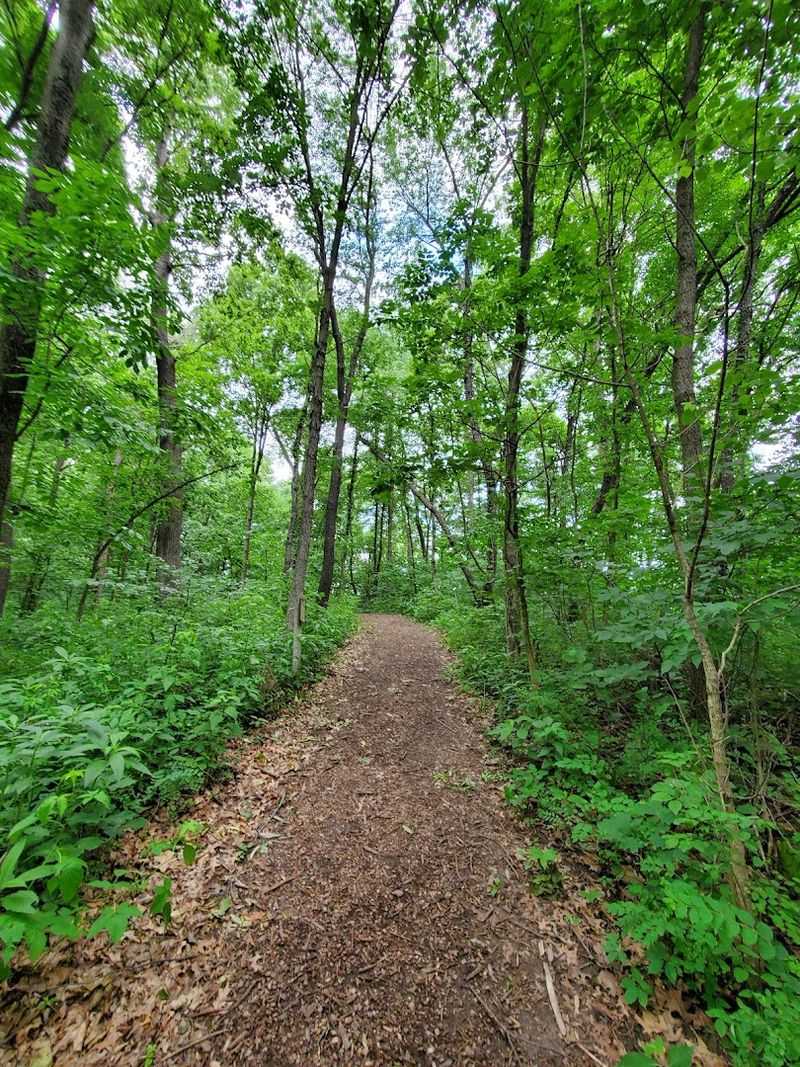 Ballard Nature Center, Altamont, Illinois