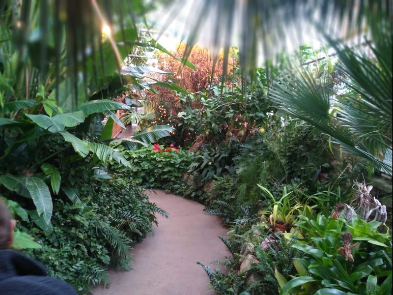 Luthy Botanical Garden, Peoria
