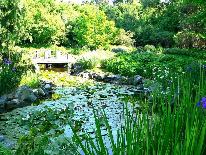 Klehm Arboretum & Botanic Garden - Rockford