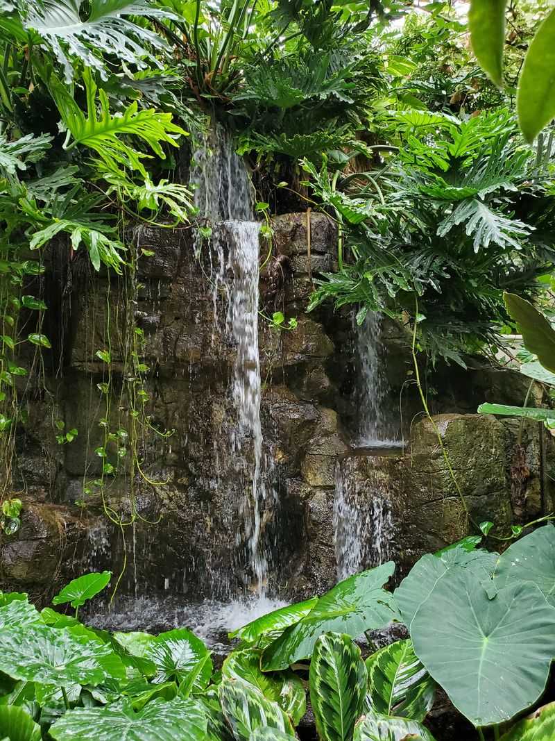 Quad City Botanical Center, Rock Island