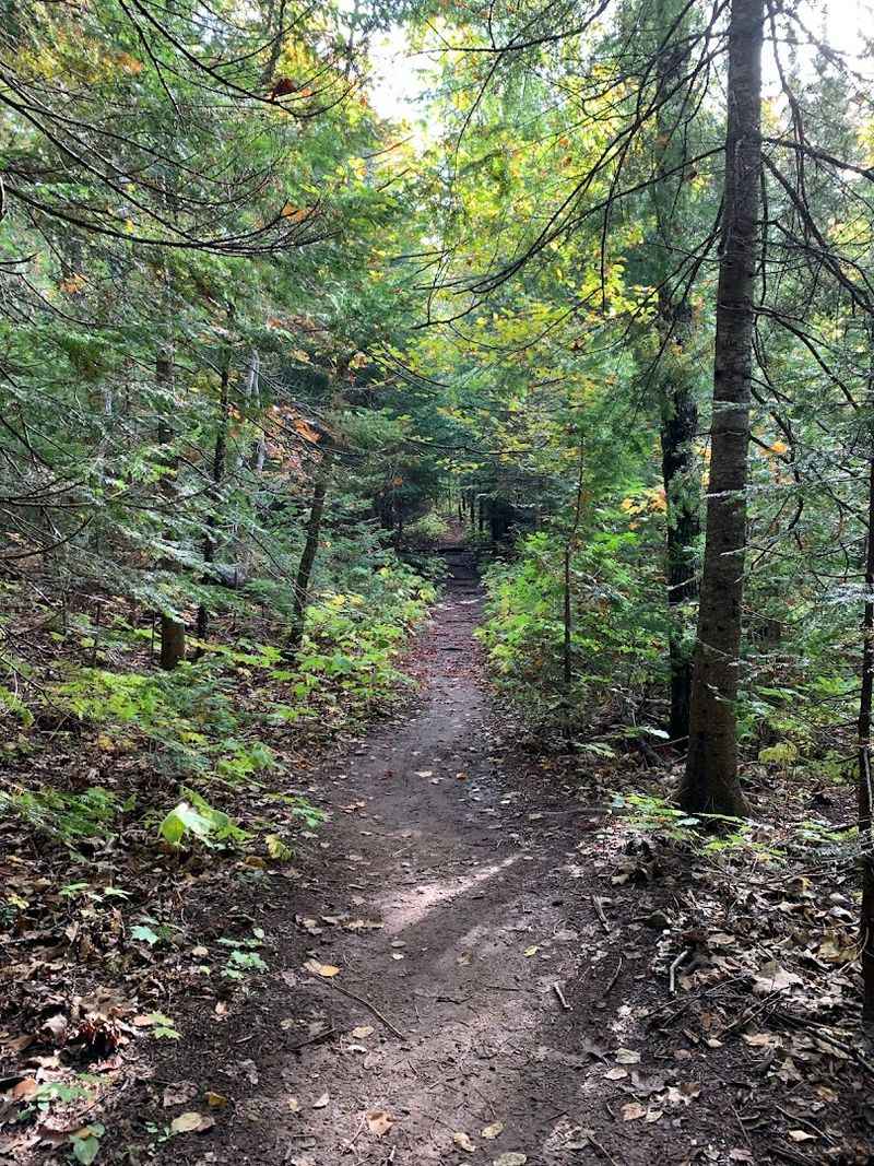 Lyle And Mary Rizor Nature Sanctuary