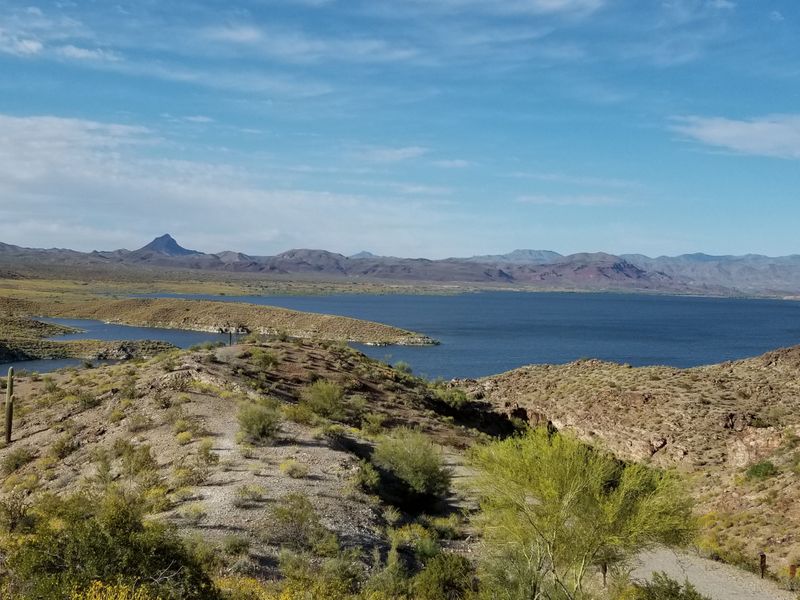 Alamo Lake State Park - Alamo Lake Rd, Wenden