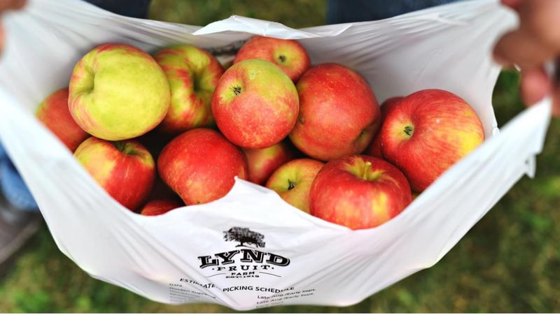 Lynd Fruit Farm Market, Pataskala