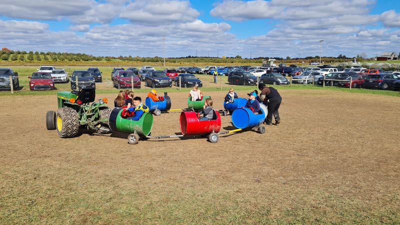 Lynd Maze Fest, Pataskala