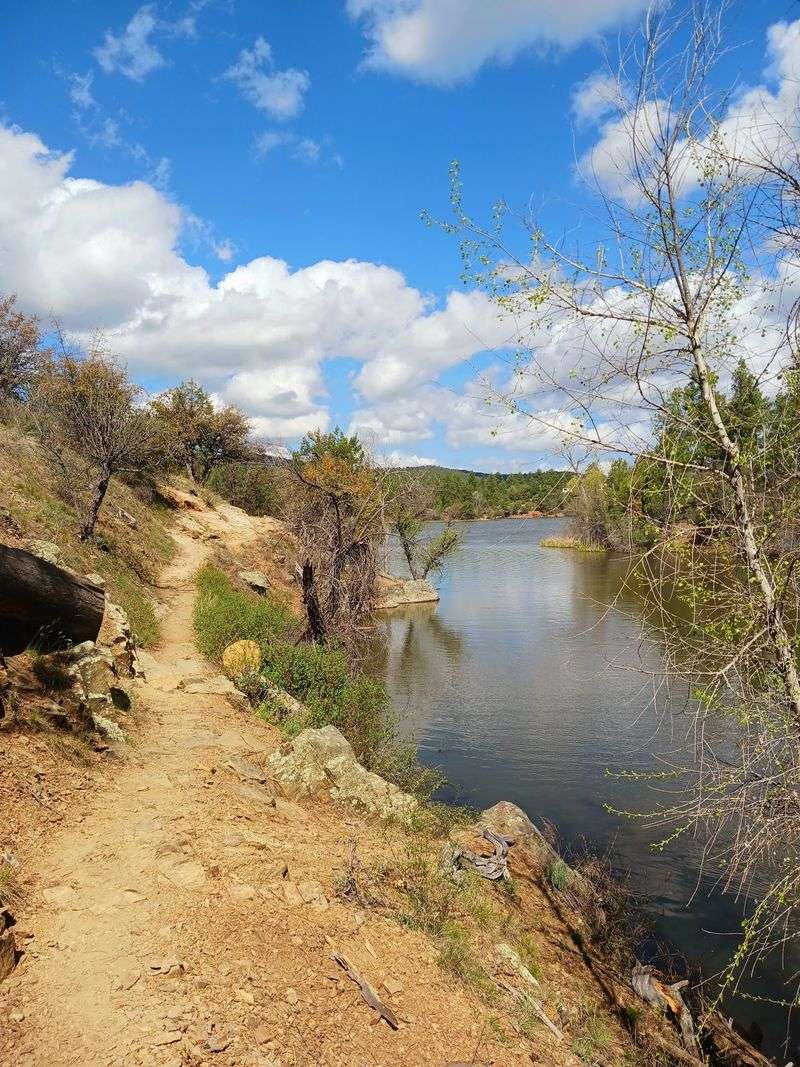 Lynx Lake - North Shore Picnic Site, Prescott, AZ