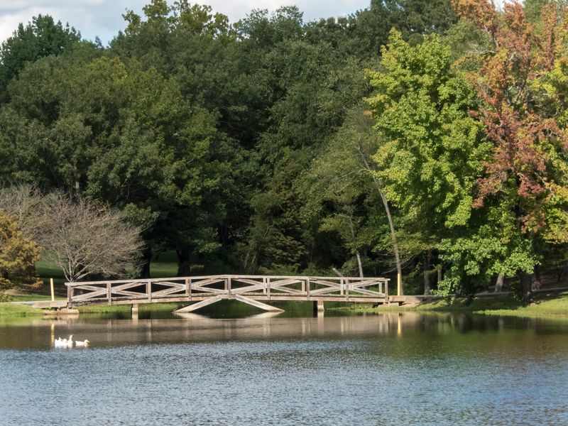 Lyon College