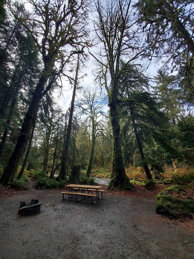 Lyre River Campground, Port Angeles, WA