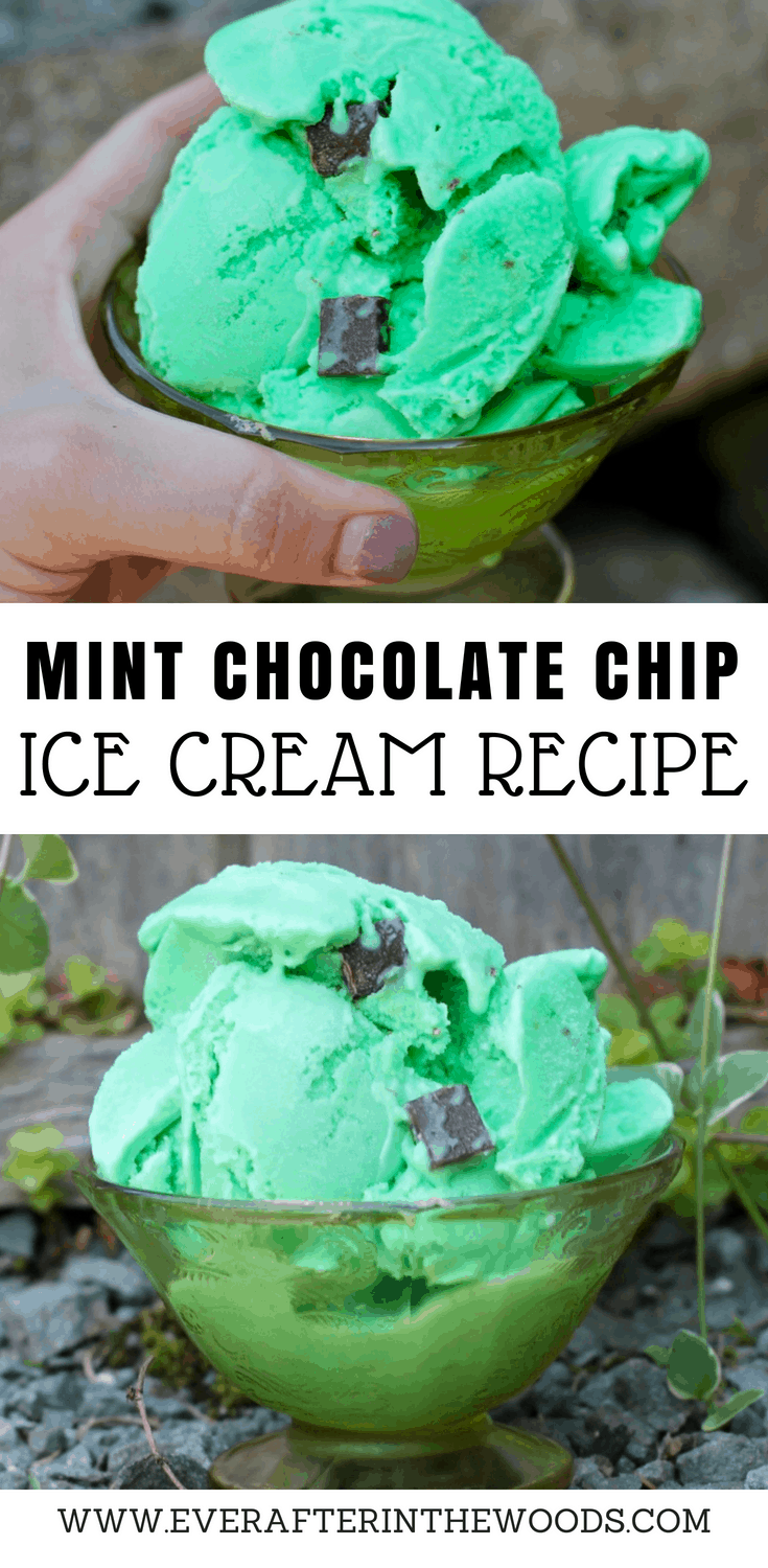 mint chocolate chip ice cream recipe