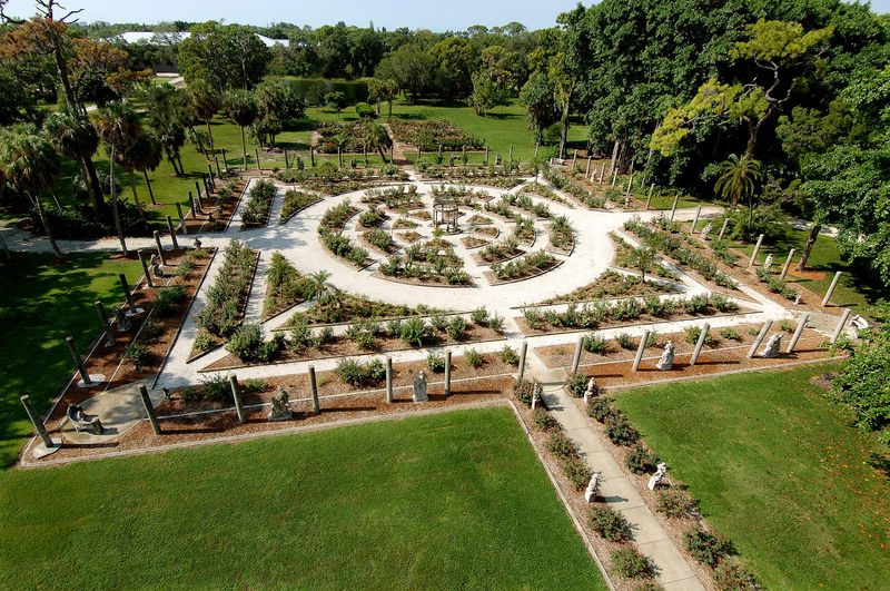 Mable's Rose Garden And The Banyan Giants Mable's Rose Garden And The Banyan Giants