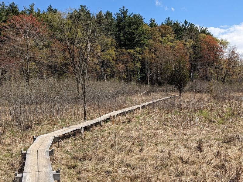 MacCready Nature Reserve