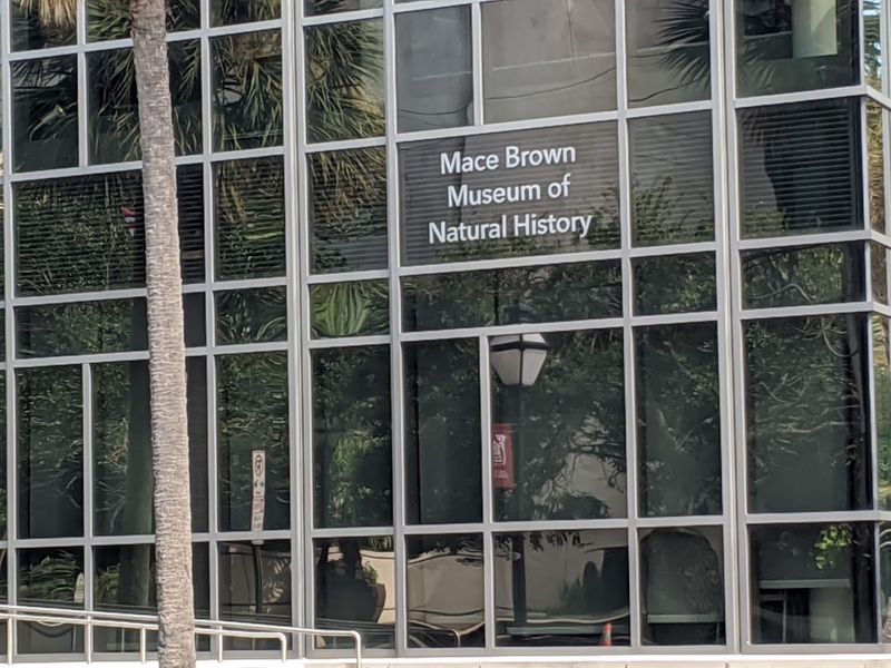 Mace Brown Museum Of Natural History, Charleston