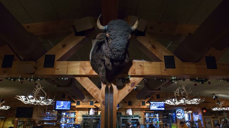 Bugaboo Creek Steakhouse: Where Animatronic Animals Interrupted Your Steak