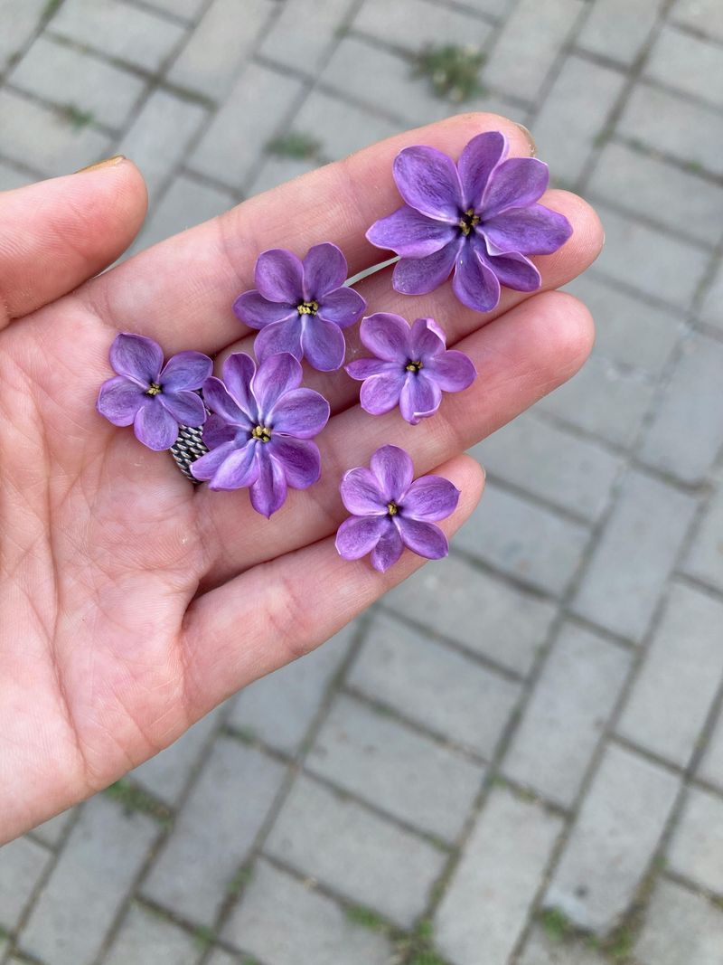 Barryton Lilac Festival, Barryton