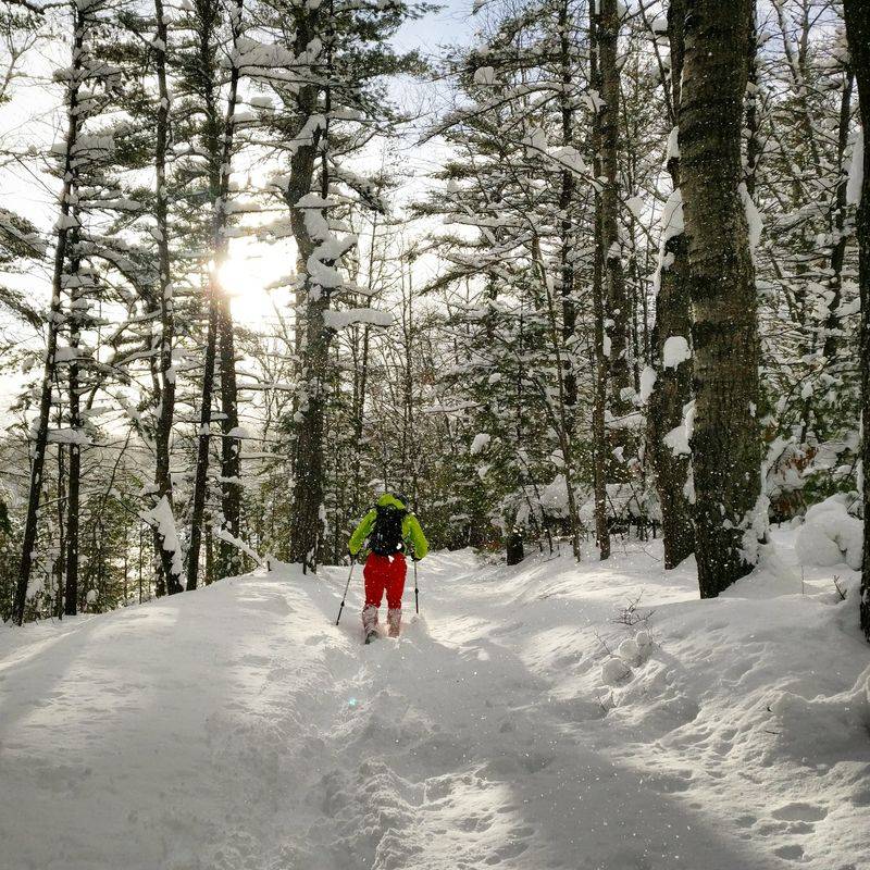 Sand Lakes Quiet Area Trails, Grand Traverse County