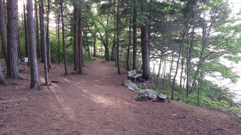 Mackworth Island Trail, Falmouth