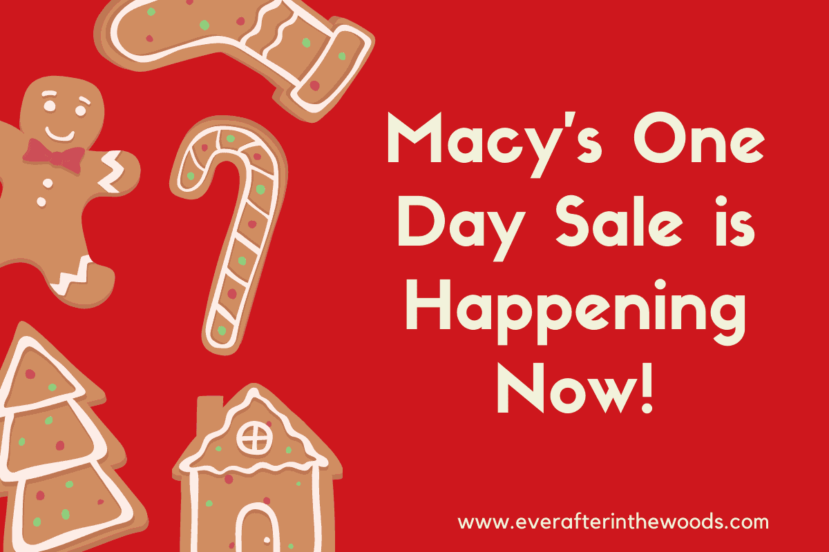 Macy's day best sale after christmas sale