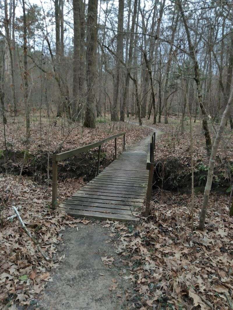 Magnesia Springs Trail, Magnolia Logoly State Park