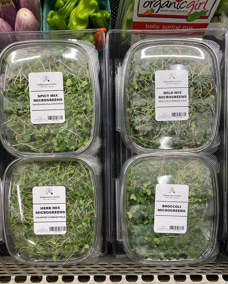Micro-Greens & Baby Lettuces