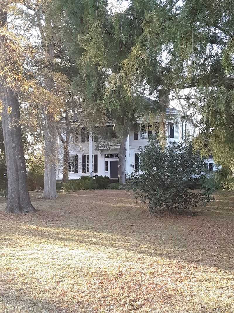 Magnolia Dale