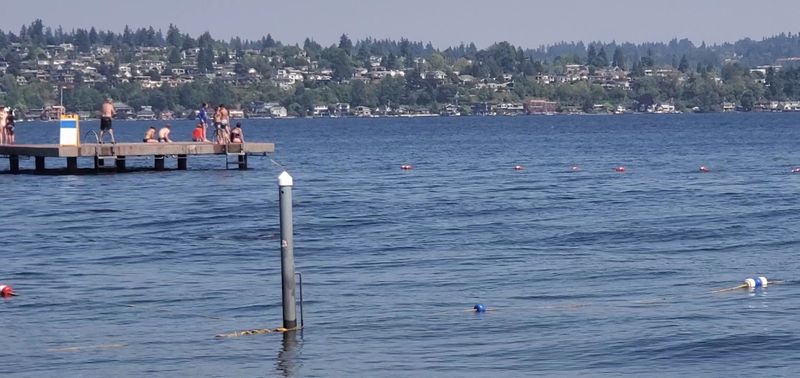 Magnuson Park Swimming Beach, Seattle, Washington