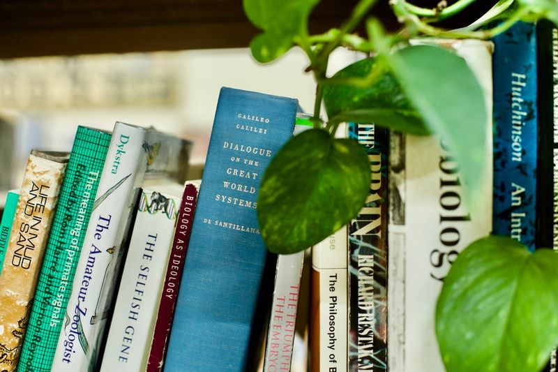 Maine Authors And Local History 