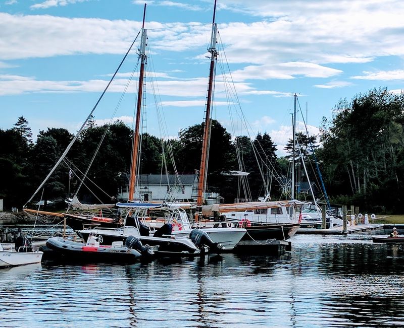 Maine's State Fossil Is Nearly 400 Million Years Old