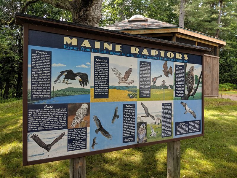 Maine Wildlife Park, Gray