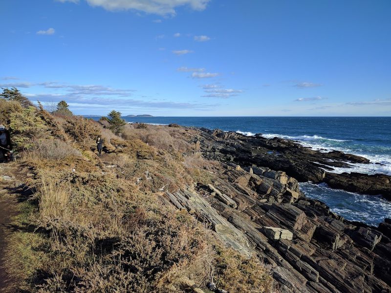 Maine’s Hidden Tupelo Grove