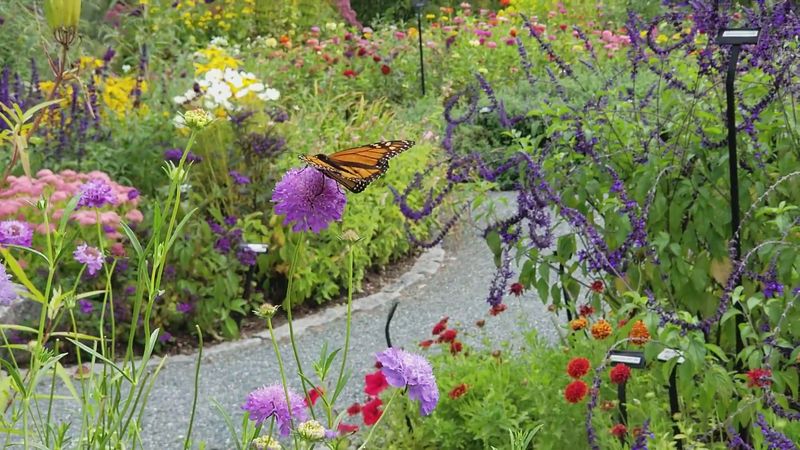 Maine’s Trust-Box Garden
