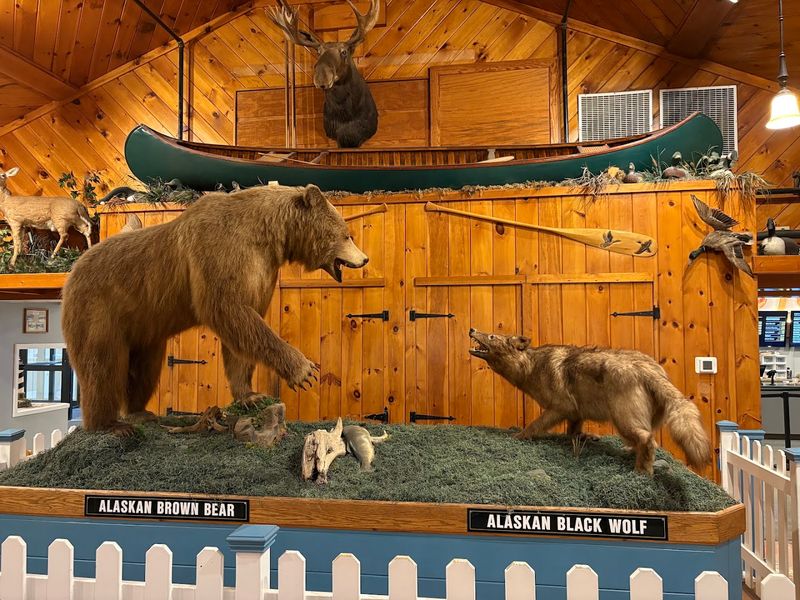 Maine’s Wild Side Is On The Walls