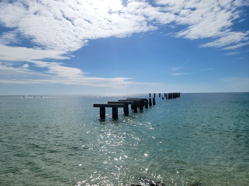 Magical Manatee Encounters